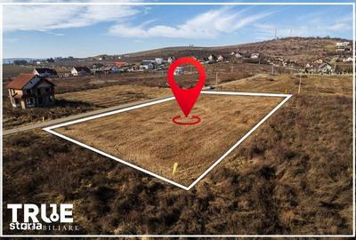 Spațiu comercial, în Apalina - 19