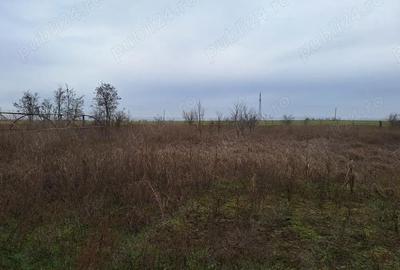 Casă cu 3 camere în Lunca - 4