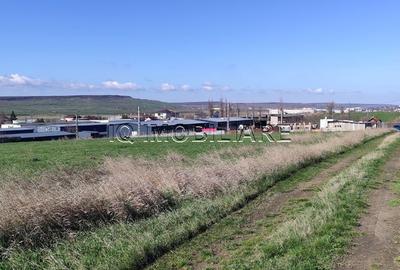 Teren de 5000 mp, în Miroslava - 4