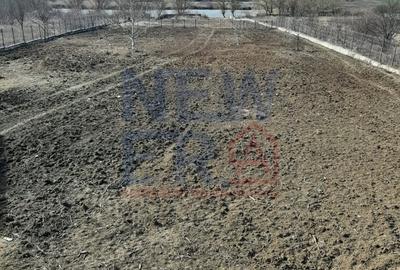 Teren 6.600mp cu deschidere la lac - zona centrala Corbeanca Teren 6.600mp cu deschidere la lac - zona centrala Corbeanca - 2