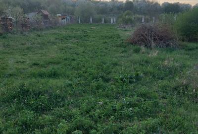 Teren de 1800 mp, în Ciurila - 3