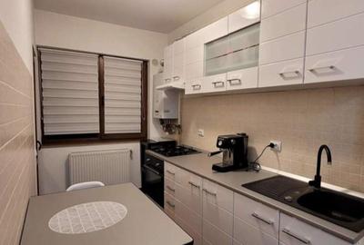 Apartament cu 2 camere semidecomandat, mobilat în Tătărași - 8