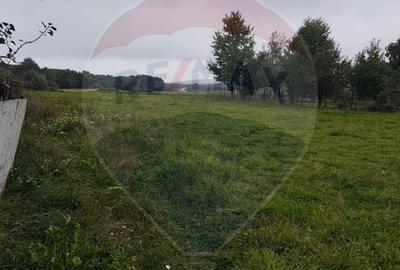 Teren Construcții intravilan de 7000 mp, în Călugăreni - 2