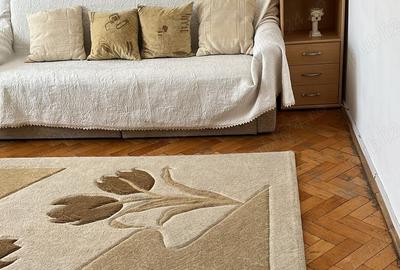 Pe frumoasa strada Platanilor, renumita pentru zona inverzita-zona IOSEFIN-mobilat - 19