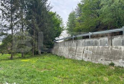 Teren de 4153 mp, în Sânmartin - 10