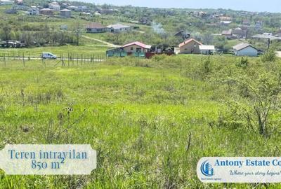 Teren de 850 mp, în Săldăbagiu de Munte - 2