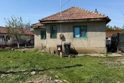 Casă cu Teren 2000 Mp în Gura Vadului - 3