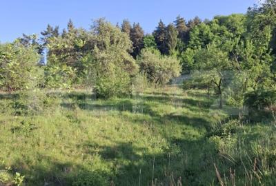 Teren de 10000 mp, în Tărlungeni - 2