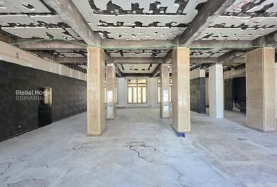 Spațiu comercial, de 293 mp, în Ultracentral - 3