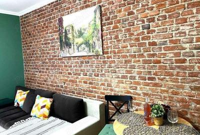 Apartament 2 camere + Garsoniera Centru Istoric Timi?oara, regim hotelier activ - 4