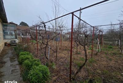 Casă cu 3 camere cu Teren 1763 Mp în Topraisar - 5