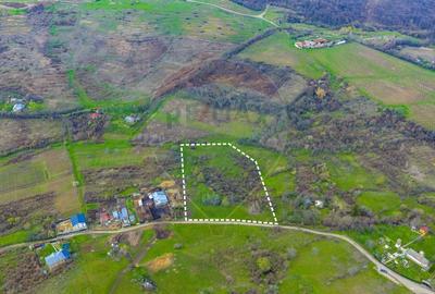 Teren Construcții intravilan de 33500 mp, în Valea Orlei - 14