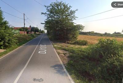 TEREN 1630MP CONSTRUCTII LANGA PADURE, UTILITATI, BALTA PESCUIT, SAT LIPIA,ILFOV - 2