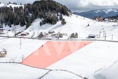 Teren agricol de 3962 mp, în Fundata - 5