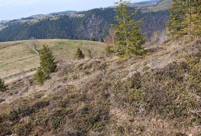 Spațiu comercial, în Măguri - 2