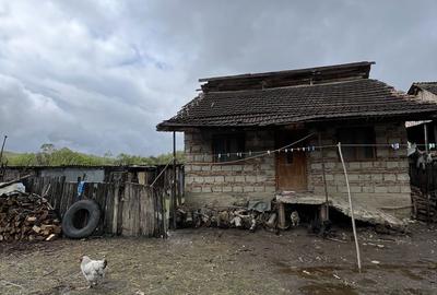 Casă cu 2 camere în Licurici - 2