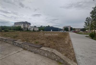 Moldova Noua, Teren Drept Intravilan 1628 Mp., pe malul Duna - 14