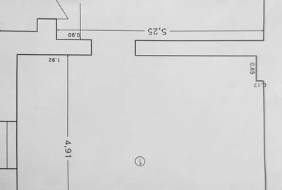 Spațiu comercial, de 44 mp, în Brazda lui Novac