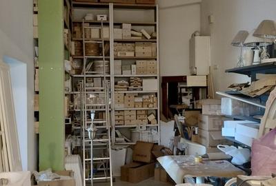 Dorobanților SAD 264 mp 230000 euro - 8