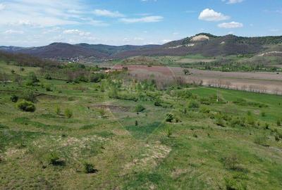 Domeniu - 66 Hectare - Teren deosebit Copsa Mica cu desch... - 2