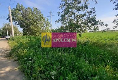 Teren Construcții intravilan de 5000 mp, în Copăceni - 6