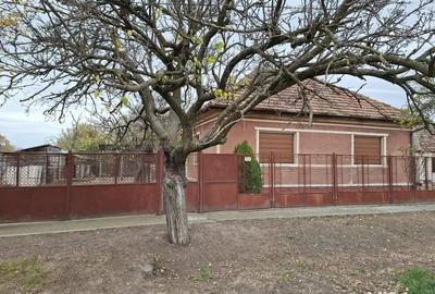 Casa cu gradina - 1432mp - 3