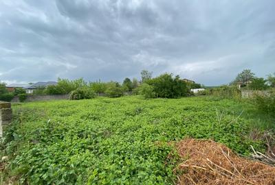 Islaz - Branesti - teren 1374mp - canalizare - gaze - curent - asfalt - 1