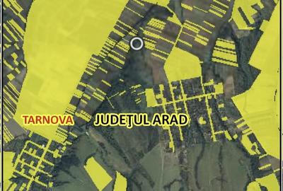 Teren agricol extravilan de 272720 mp, în Dud - 1