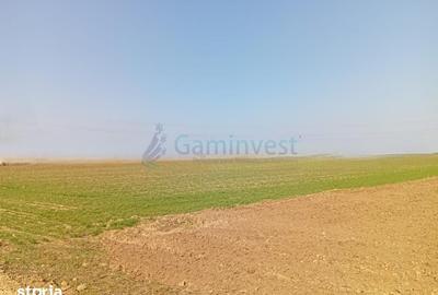 Teren de 20000 mp, în Biharia - 1