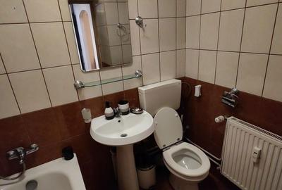 Garsonieră semidecomandată în Fundeni - 8