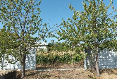 Teren de 900 mp, în Valea Largă - 12