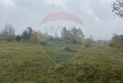 Teren Construcții intravilan de 8119 mp, în Călățele - 17