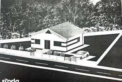 Casă cu 3 camere cu Teren 804 Mp în Țiglina 3 - 1