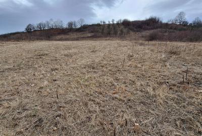 Spațiu comercial, în Hunedoara - 6