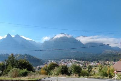 Cabana vanatoreasca din lemn cu vedere spectaculoasa, langa Castelul Cantacuzino - 33