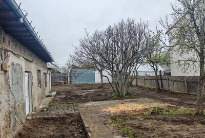 Casă cu 4 camere în Radu Negru - 2