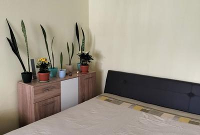 Garsonieră decomandată în Freidorf - 7