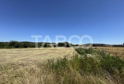 Teren intravilan 3752 mp parcelabil zona fostelor sere Cristian Sibiu - 3