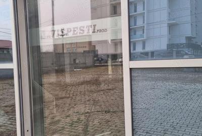 Depozit de vanzare sau inchiriere in Ploiesti - 1