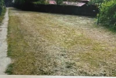 Vand proprietate - Valea Mare (Dambovi?a) - 1