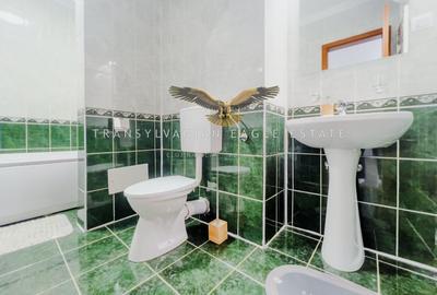 Penthouse cu priveliste panoramica superba|Andrei Muresanu - 15