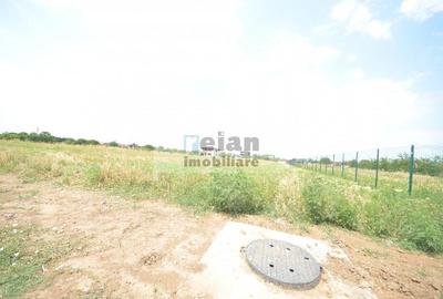Snagov Ghermanesti - Teren 1637 Mp, Deschidere 19 M, Toate Utilitatile - 7