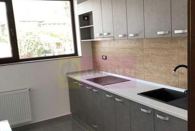 Vila de inchiriat Parcul Carol Budapesta Unirii - 10