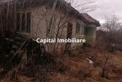 Casă cu 3 camere cu Teren 3040 Mp în Ceanu Mic - 12