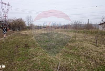 Teren de 2500 mp, în Murgași - 3