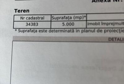 Teren de 5000 mp, în Dumbrăveni - 2