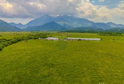 Teren de 10800 mp, în Râșnov - 4
