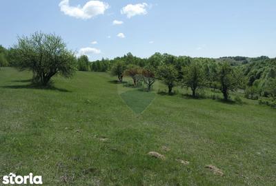 Teren de 7500 mp, în Copalnic - 2