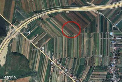 Teren de 20000 mp, în Milcovul - 1
