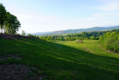 Teren 15,000mp Sighetu Marmatiei / Strada Mocanitei - 6